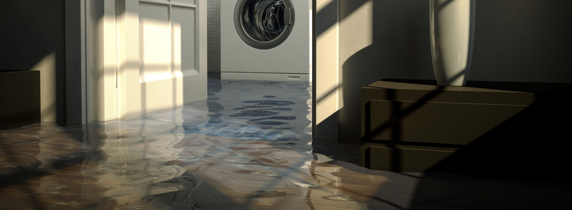 home_slide_cd002